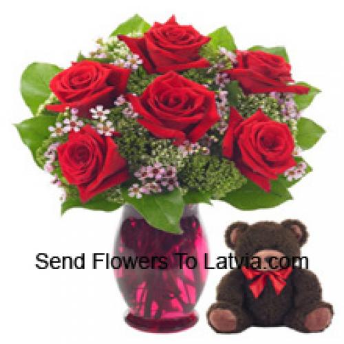 7 Red Roses with Cute 14 Inch Teddy