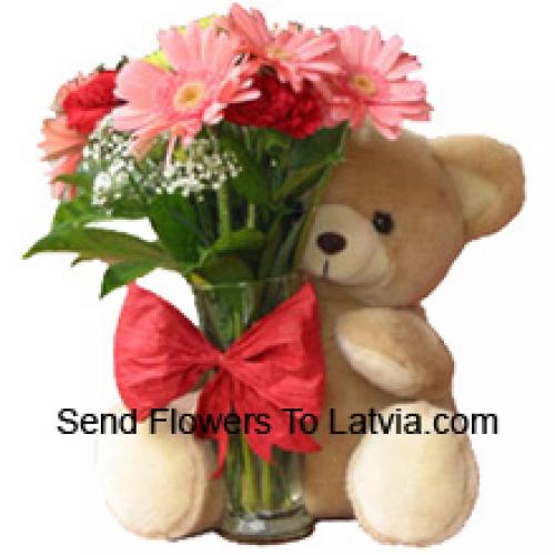 11 Red Carnations and Pink Gerberas with Teddy