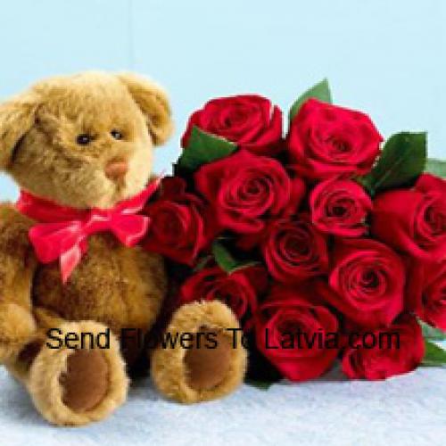 Brown Teddy with Lovely 11 Roses