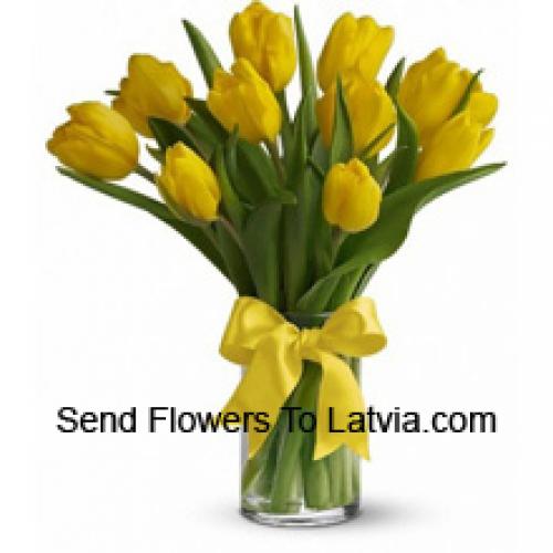 Beautiful Yellow Tulips