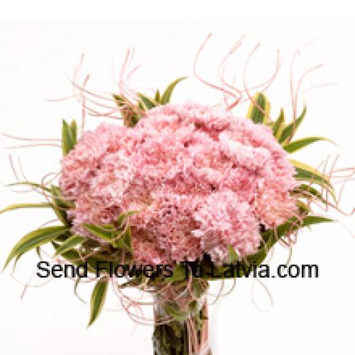 25 Pretty Pink Carnations