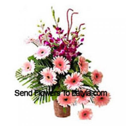 Sensational Gerberas with Orchids