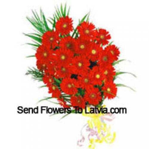 25 Exotic Red Gerberas