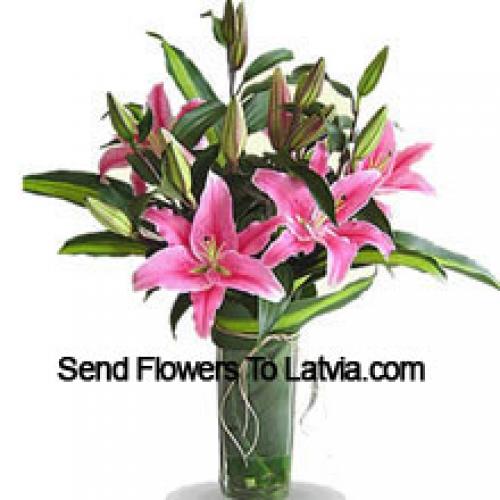 Cute Pink Lilies