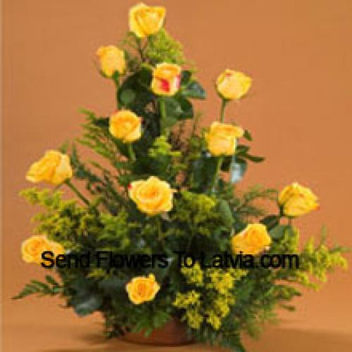 11 Charming Yellow Roses