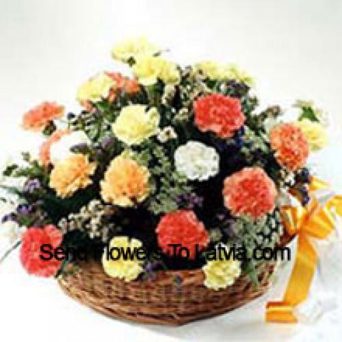 Elegant 25 Mixed Carnations