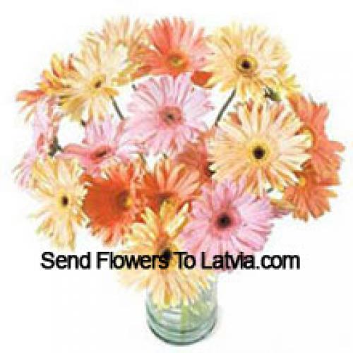 25 Fancy Assorted Gerberas