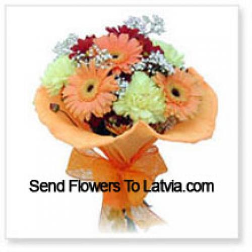 11 Assorted Cute Gerberas