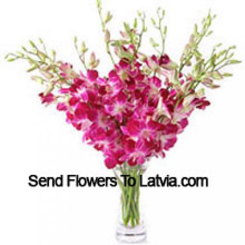 Lovely Orchids in Vase