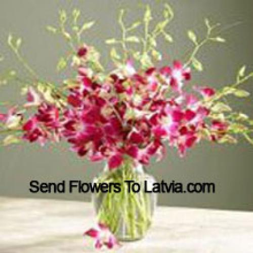 Pleasing Orchids in Vase