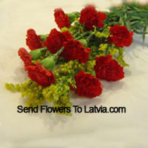 9 Beautiful Red Carnations