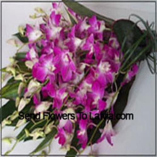 Cute Orchids Bunch