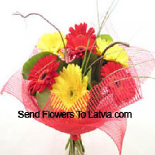 Cute Mixed Gerberas