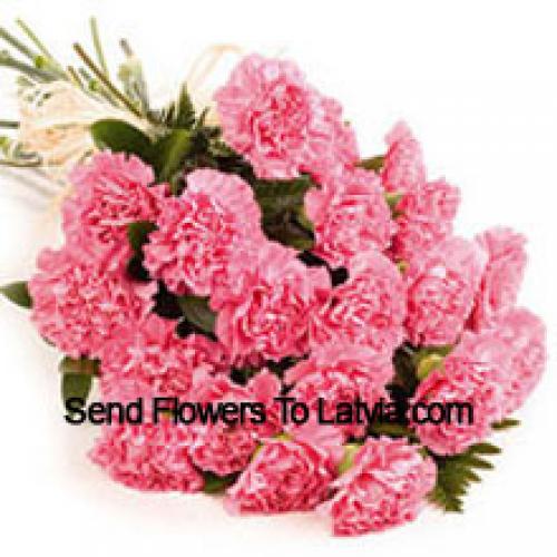 25 Pink Carnation Bunch