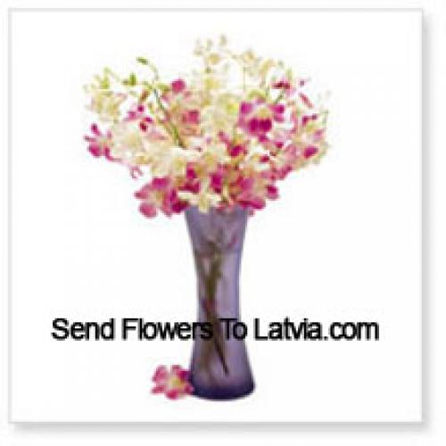 Sweet Orchids in Vase