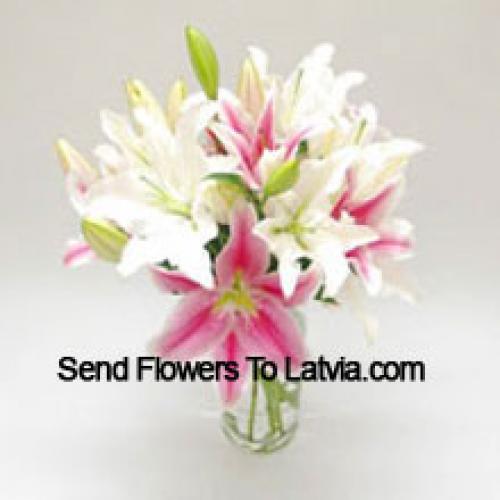 Multicoloured Lilies in Vase