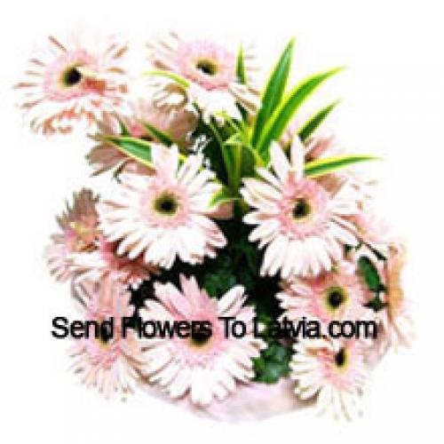 15 Pink Gerberas Basket