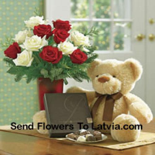 Red and White Roses with Teddy and Chocolates